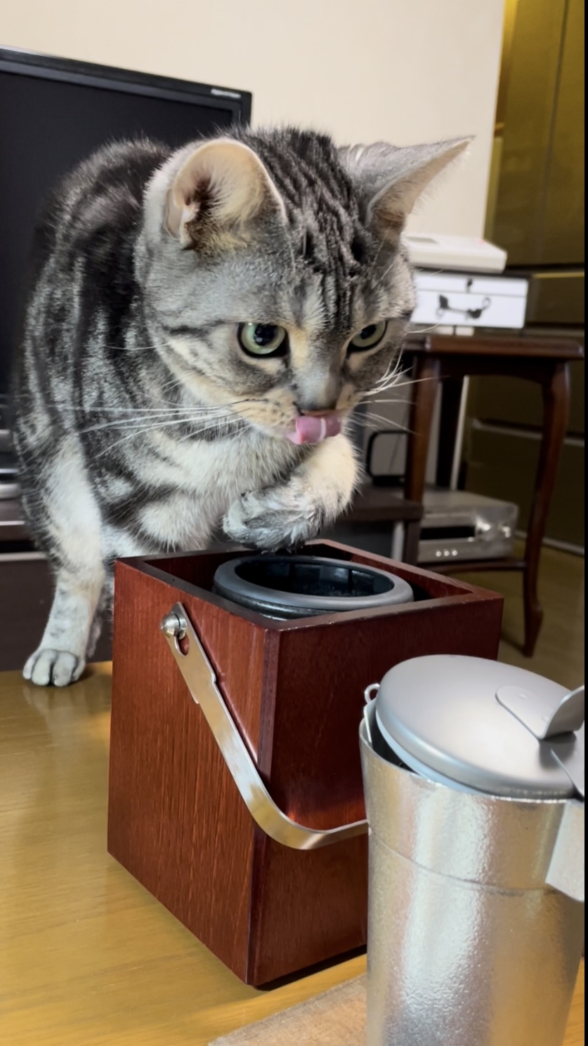 かたやま